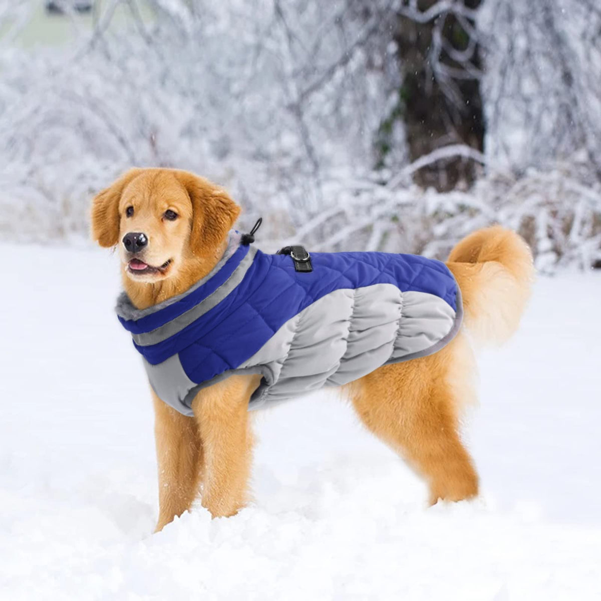 Lelepet Dog Coat Warm Dog Winter Coat Waterproof Dogs Jacket