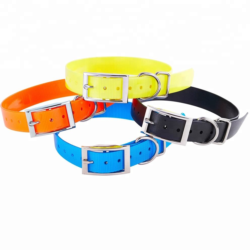 Dog Collar