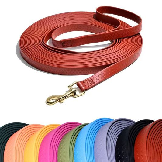 Biothane Leashes