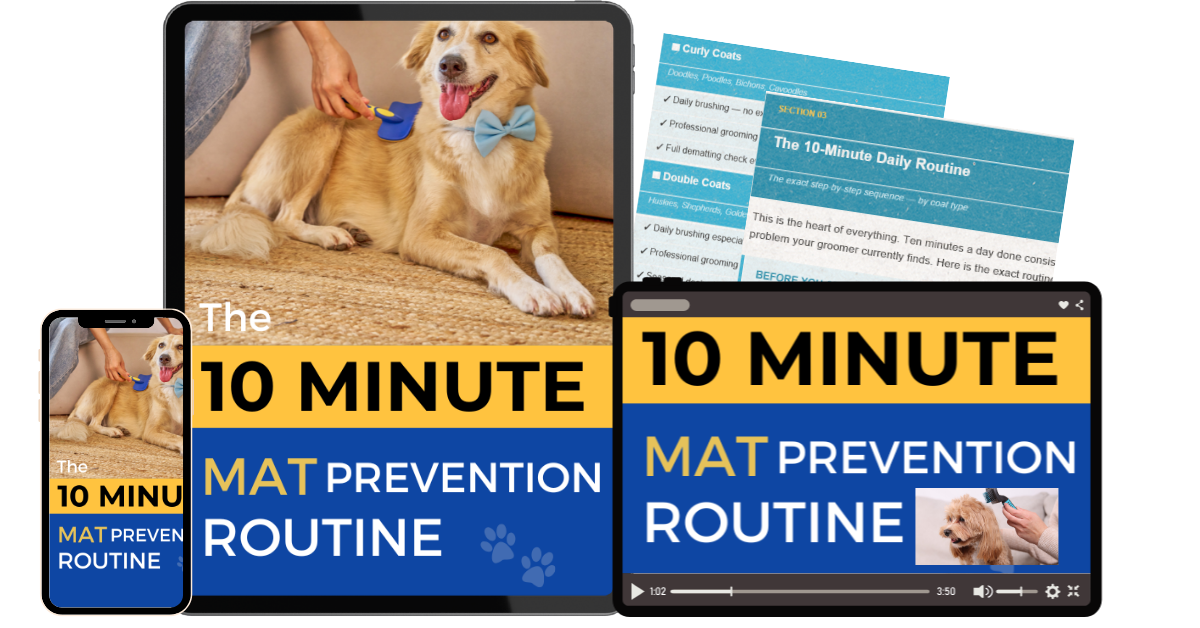 The 10 Minute Mat Prevention Routine