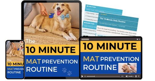 The 10 Minute Mat Prevention Routine